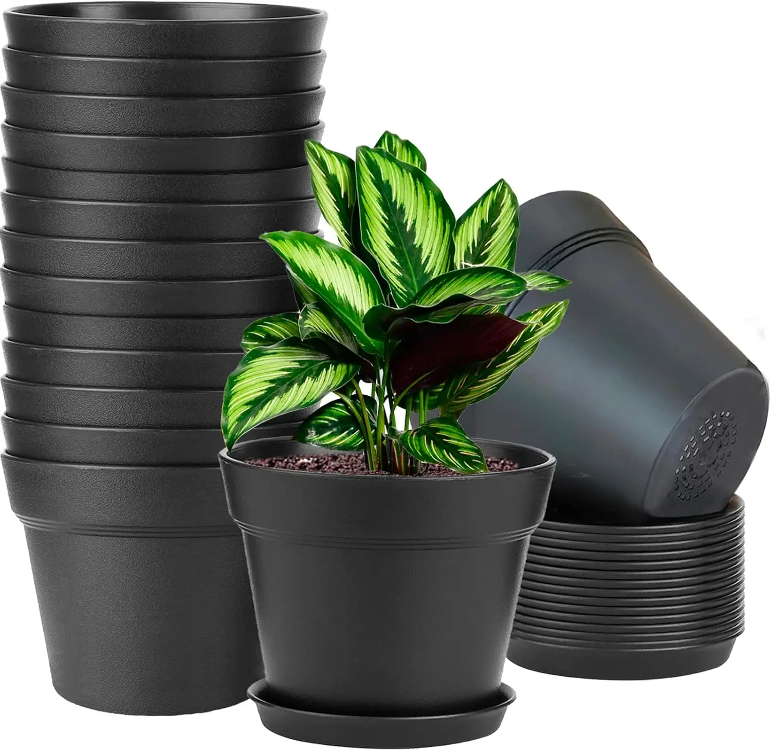 16 Pack 6 inch Plastic Planters for Indoor Flower Pots, Heavy Duty and Stylish 6 Inch Plant Pots for Indoor Plants with
16 Pack 6 inch Plastic Planters for Indoor Flower Pots, Heavy Duty and Stylish 6 Inch Plant Pots for Indoor Plants with