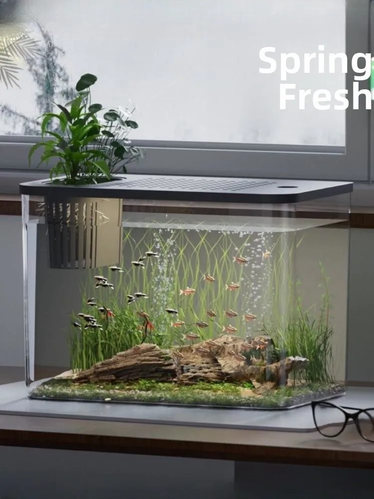 Acrylic Plastic Fi Tank Transparent Unbreakable Nursery Children Fi Breeding Tank with Lid Turtle Simulation Home Storage...
Acrylic Plastic Fi Tank Transparent Unbreakable Nursery Children Fi Breeding Tank with Lid Turtle Simulation Home Storage...