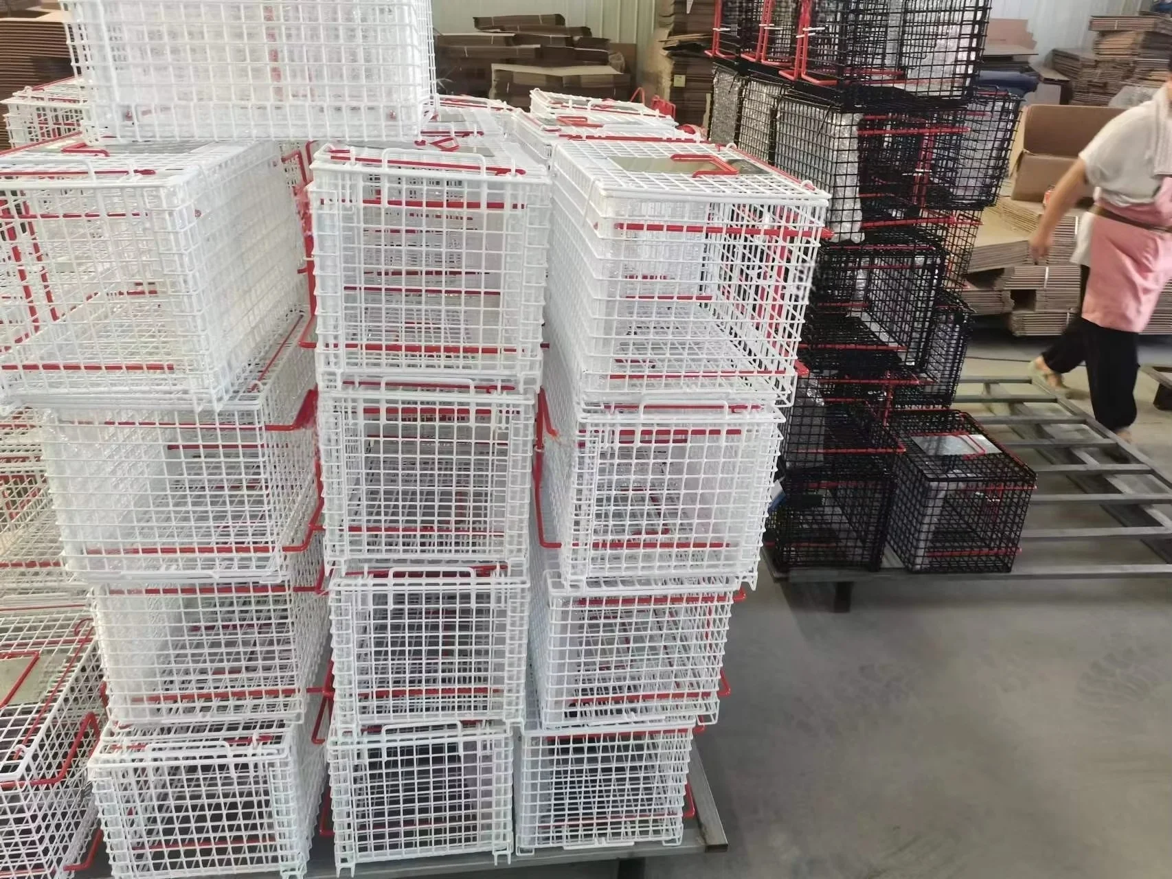 Hot SalesAllround Metal Pet TNR Cage Trap Carrier Transfer Box Crush Restrainer Container Cage
Hot SalesAllround Metal Pet TNR Cage Trap Carrier Transfer Box Crush Restrainer Container Cage