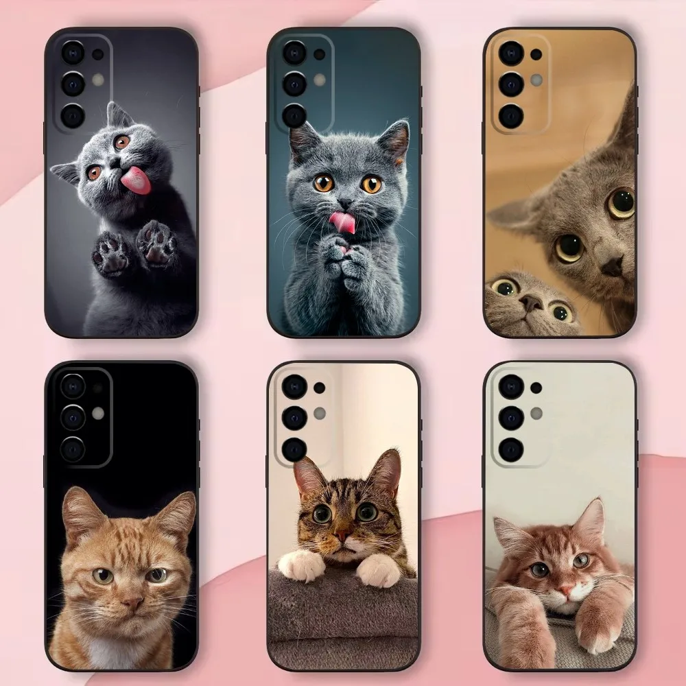 Animal Pet Cat Cute Phone Case For Samsung S24,S21,S22,S23,S30,Ultra,S20,Plus,Fe,Lite,Note,10,9,5G Black Soft Shell
Animal Pet Cat Cute Phone Case For Samsung S24,S21,S22,S23,S30,Ultra,S20,Plus,Fe,Lite,Note,10,9,5G Black Soft Shell