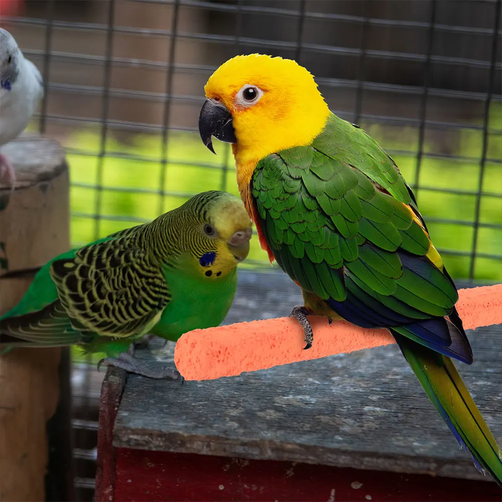 6 Pcs Bird Perch Parrot Stand Orange 2 Yellow 2 Green Diameter 1 5cm Length 25cm Quartz Sand Wooden Washable Reusable Cage
6 Pcs Bird Perch Parrot Stand Orange 2 Yellow 2 Green Diameter 1 5cm Length 25cm Quartz Sand Wooden Washable Reusable Cage