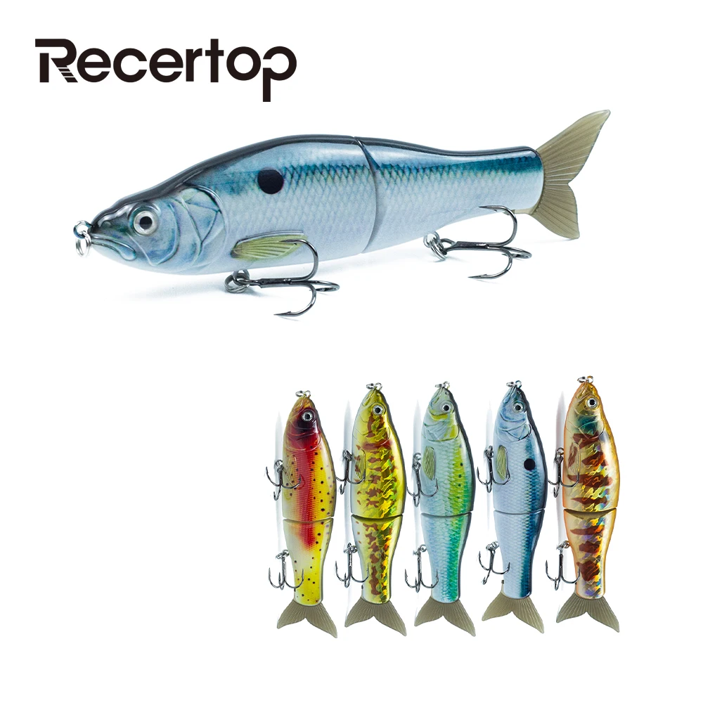 Recertop 165mm/62g Sinking SwimBaits Fishing Lures Multi-Jointed Whopper Soft Tail Pike Bass Hard Baits Artificiall Accessories
Recertop 165mm/62g Sinking SwimBaits Fishing Lures Multi-Jointed Whopper Soft Tail Pike Bass Hard Baits Artificiall Accessories