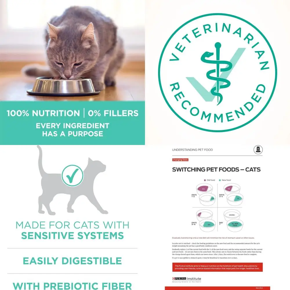 Hypoallergenic Dry Cat Food, 16 lbs, Sensitive Skin & Stomach Formula
Hypoallergenic Dry Cat Food, 16 lbs, Sensitive Skin & Stomach Formula