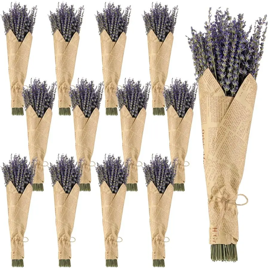 12 Pack Total 2280 Stems Dried Lavender Bundle Bulk Organic Lavender Flowers Decor Natural Dried Purple Flowers Bunches for Bath
12 Pack Total 2280 Stems Dried Lavender Bundle Bulk Organic Lavender Flowers Decor Natural Dried Purple Flowers Bunches for Bath