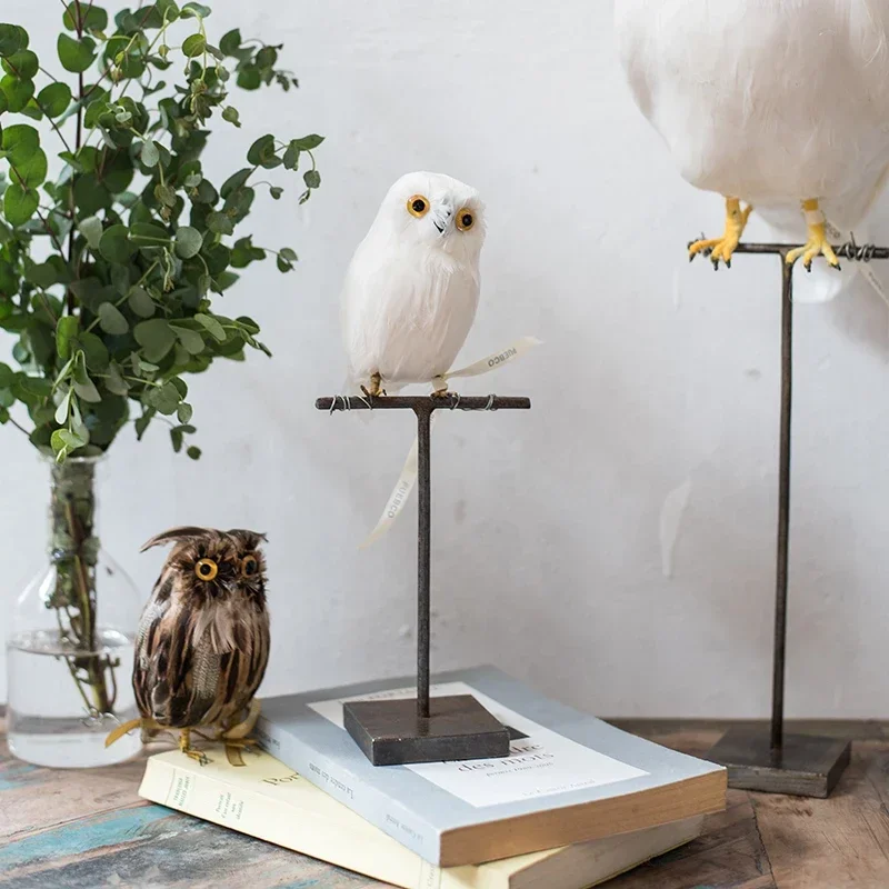 Japanese PUEBCO Retro Industrial Style Iron Bracket Bird Specimen Display Rack Jewelry Exhibition Frame Hanging Shelf
Japanese PUEBCO Retro Industrial Style Iron Bracket Bird Specimen Display Rack Jewelry Exhibition Frame Hanging Shelf
