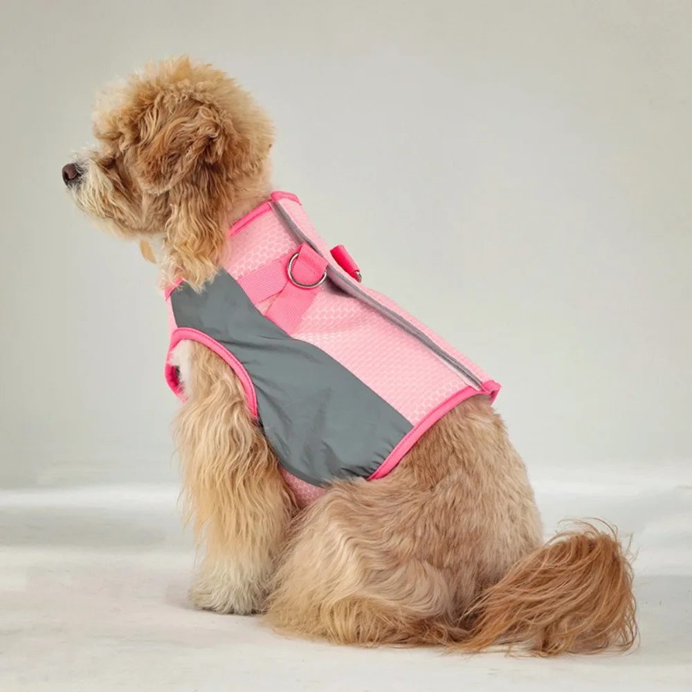 Summer Dog Cooling Vest Comfortable Sun Protection Cooling Pet Short T-Shirt Mesh Breathable Pet Dog Clothes
Summer Dog Cooling Vest Comfortable Sun Protection Cooling Pet Short T-Shirt Mesh Breathable Pet Dog Clothes