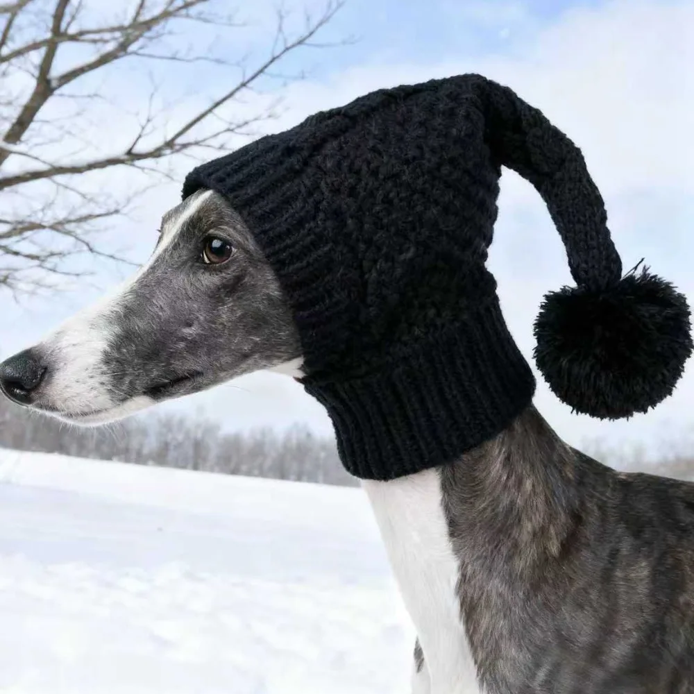 Fashion Stretchy Dog Knitted Hat Ears Cover Cozy Pet Head Wrap Warm with Ball Neck Headband Protector Indoor Outdoor Use
Fashion Stretchy Dog Knitted Hat Ears Cover Cozy Pet Head Wrap Warm with Ball Neck Headband Protector Indoor Outdoor Use