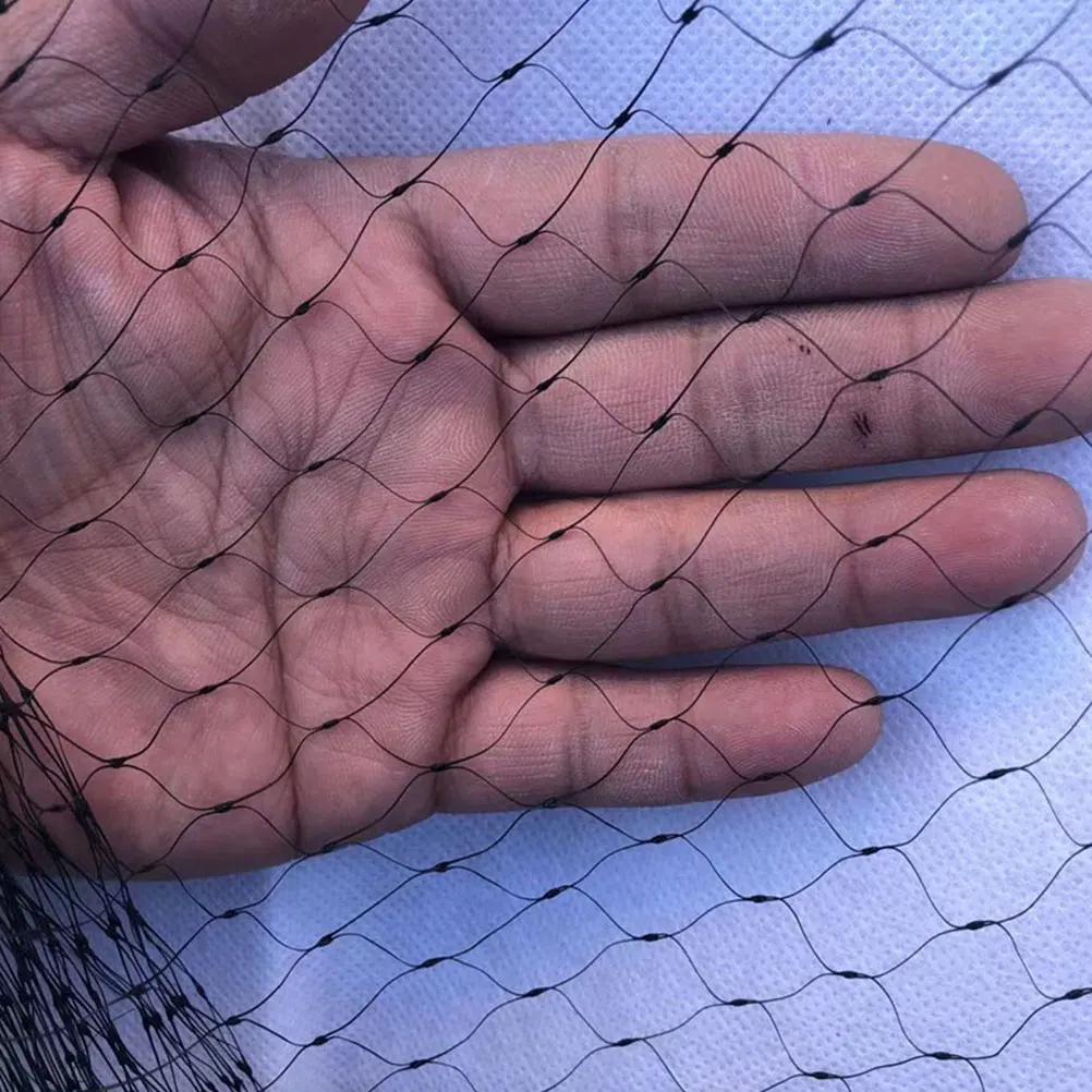 Black chard Anti Bird Net 5x40M Fruits Protective Mesh Garden Plant Netting Polyethylene Long Life Easy Fold Store Practical
Black chard Anti Bird Net 5x40M Fruits Protective Mesh Garden Plant Netting Polyethylene Long Life Easy Fold Store Practical