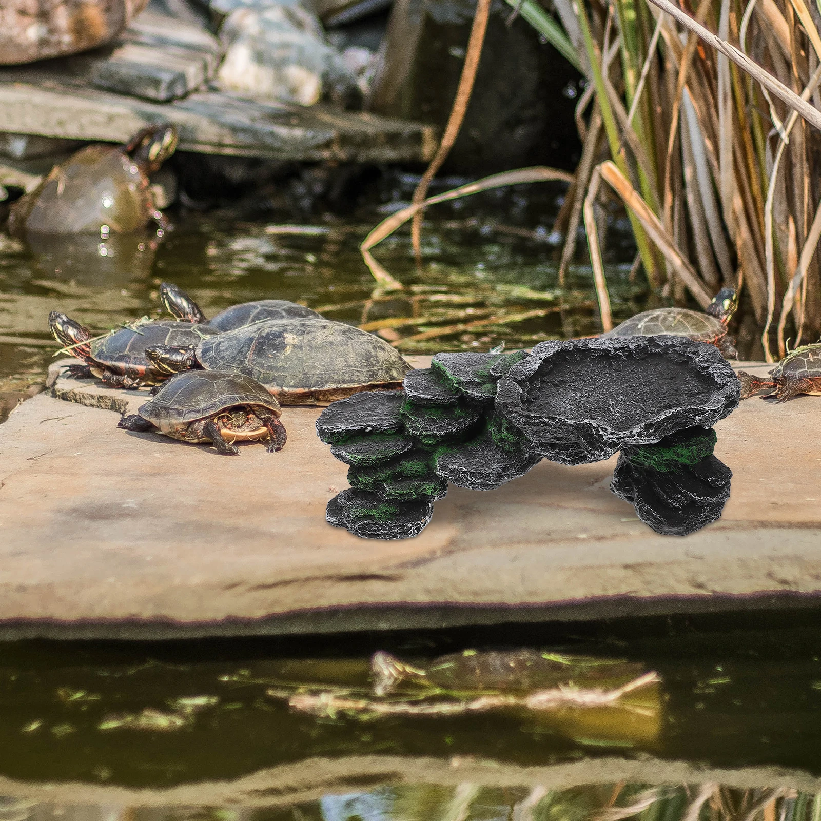 Turtle Basking Platform Resin Material Habitat Accessories Decor Supplies Reptile Tank Terrarium Pet Climbing Place Scenery
Turtle Basking Platform Resin Material Habitat Accessories Decor Supplies Reptile Tank Terrarium Pet Climbing Place Scenery