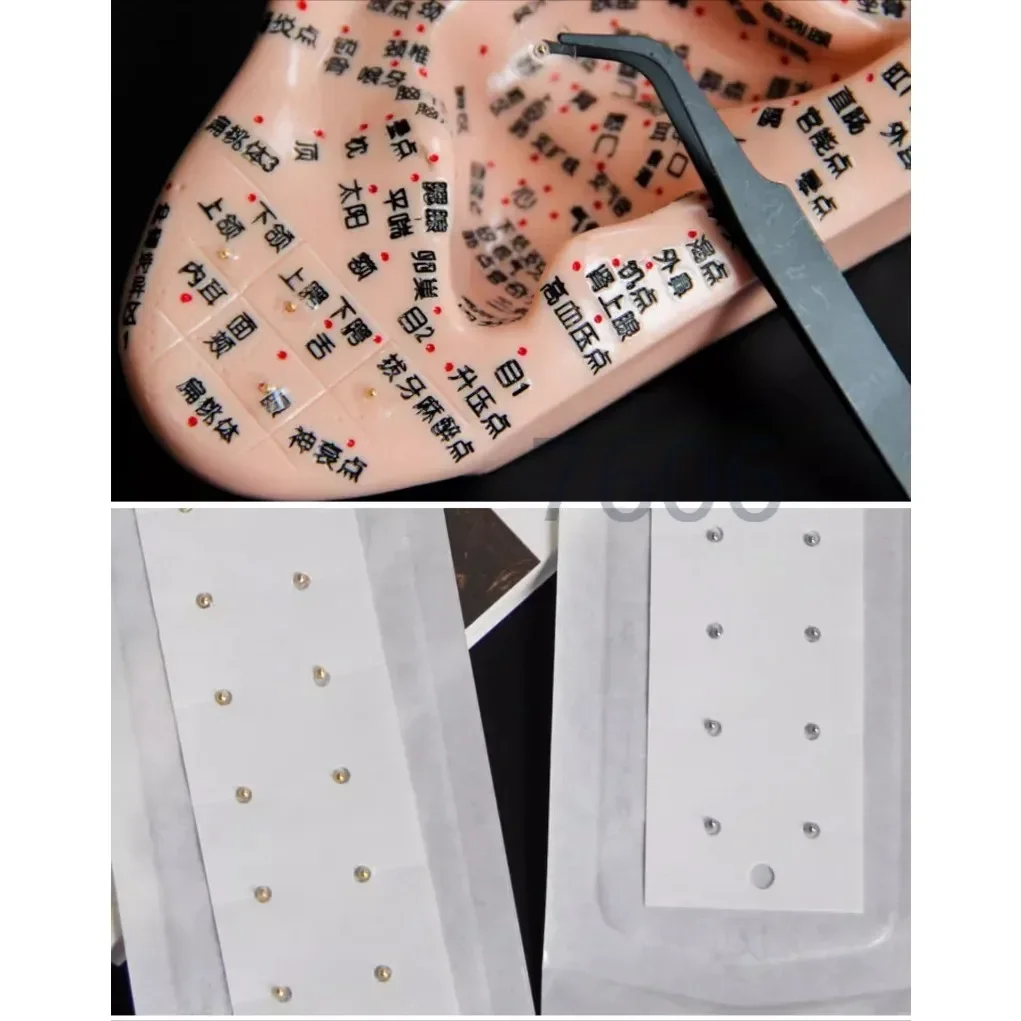 600pcs Acupuncture Magnetic beads auricular ear stickers,Vaccaria Seeds massage Ear stickers Ear Auriculotherapy
600pcs Acupuncture Magnetic beads auricular ear stickers,Vaccaria Seeds massage Ear stickers Ear Auriculotherapy