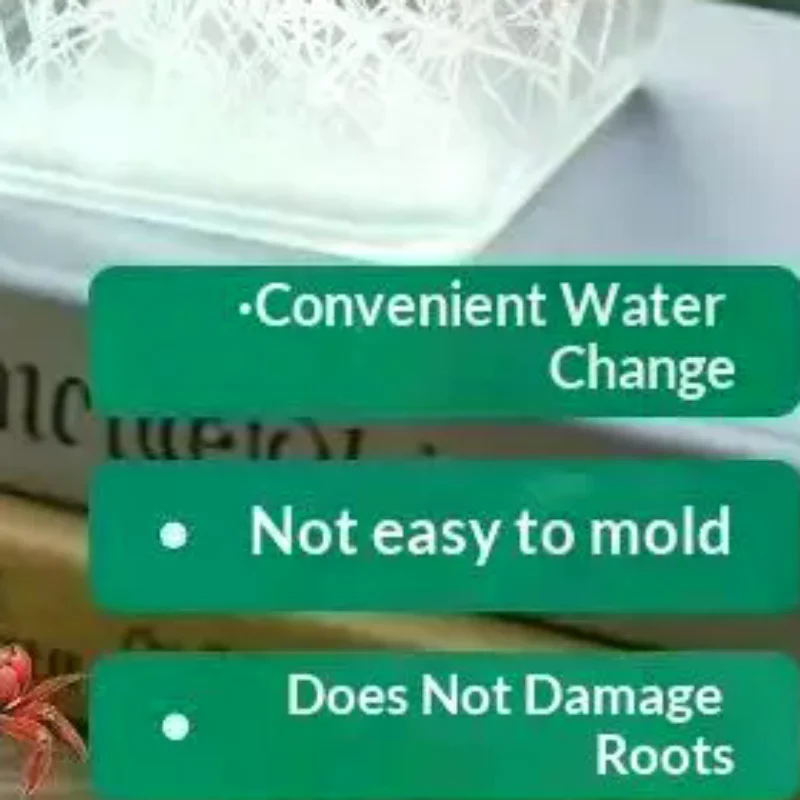 Hydroponic Containers With Breathable Support Basket Tulip Seed Hydroponic Flowerpot 4 Holes Soilless Flower Pot Home Decoration
Hydroponic Containers With Breathable Support Basket Tulip Seed Hydroponic Flowerpot 4 Holes Soilless Flower Pot Home Decoration