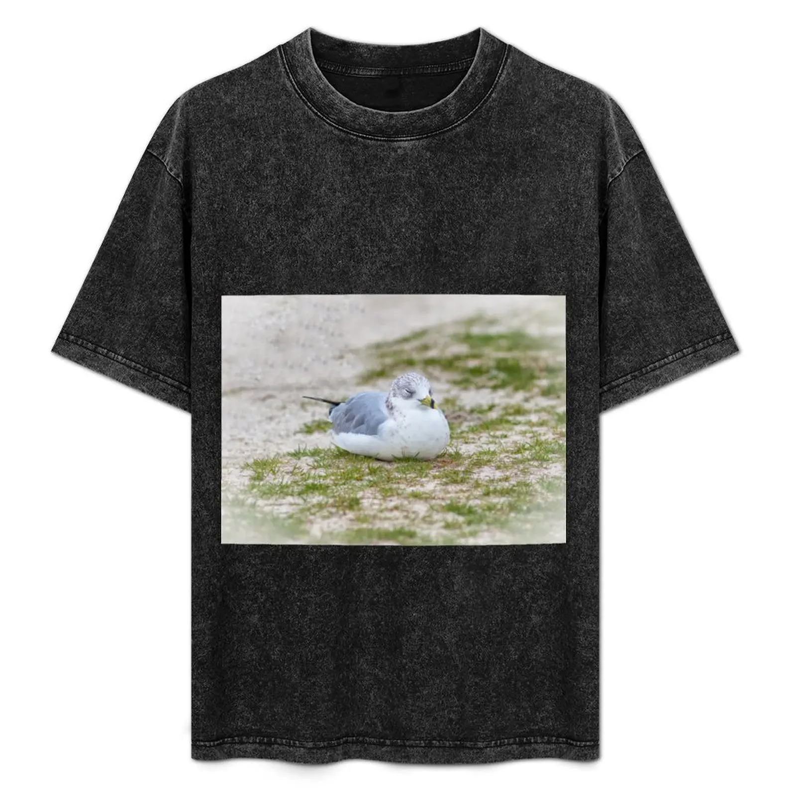 Do Not Disturb the Gull T-Shirt Street Fashion Casual Tee Shirt
Do Not Disturb the Gull T-Shirt Street Fashion Casual Tee Shirt