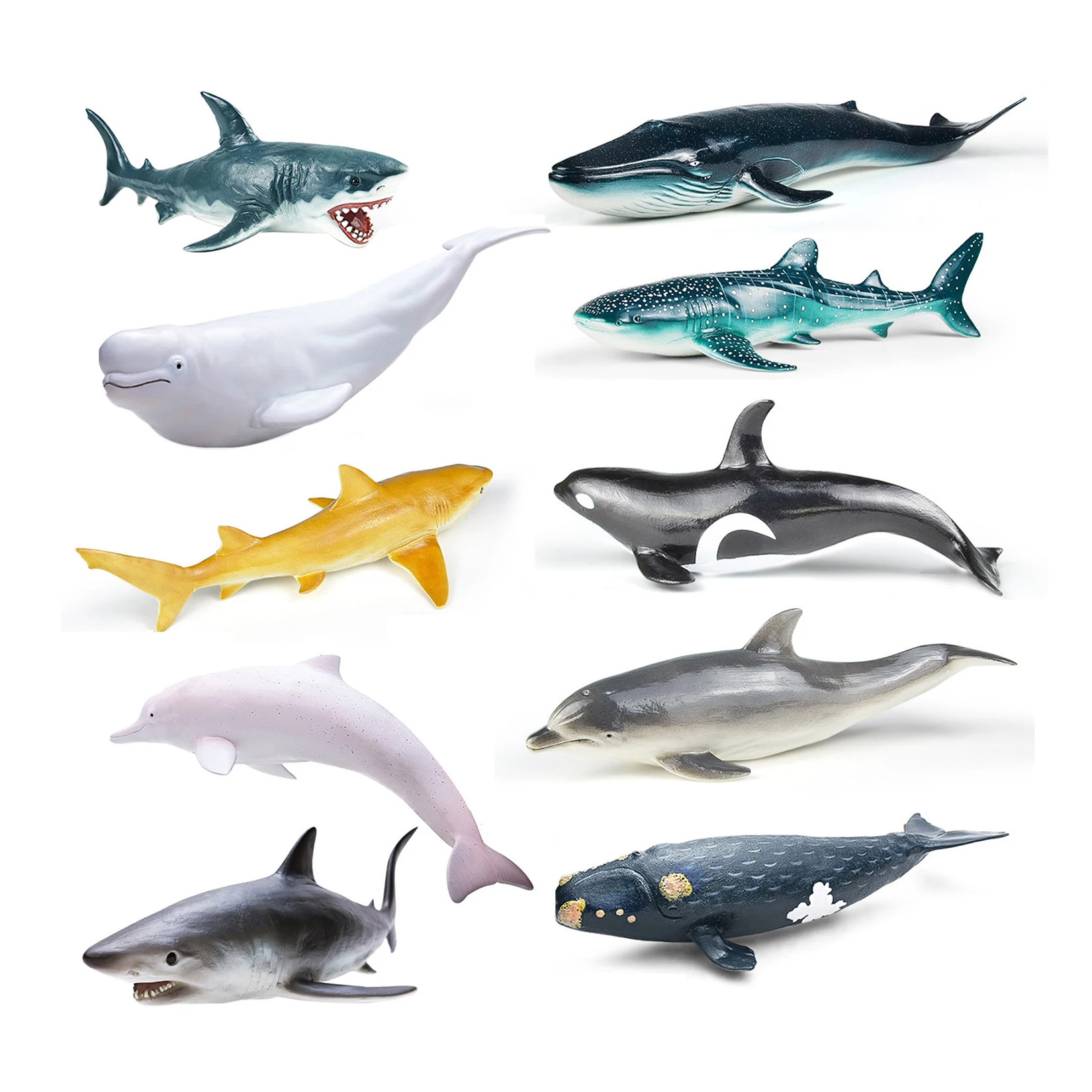 RECUR Marine Animals Collection Great White Shark Chinese White Dolphin Beluga Whale Simulation Model Scene Decor Birthday Gift
RECUR Marine Animals Collection Great White Shark Chinese White Dolphin Beluga Whale Simulation Model Scene Decor Birthday Gift