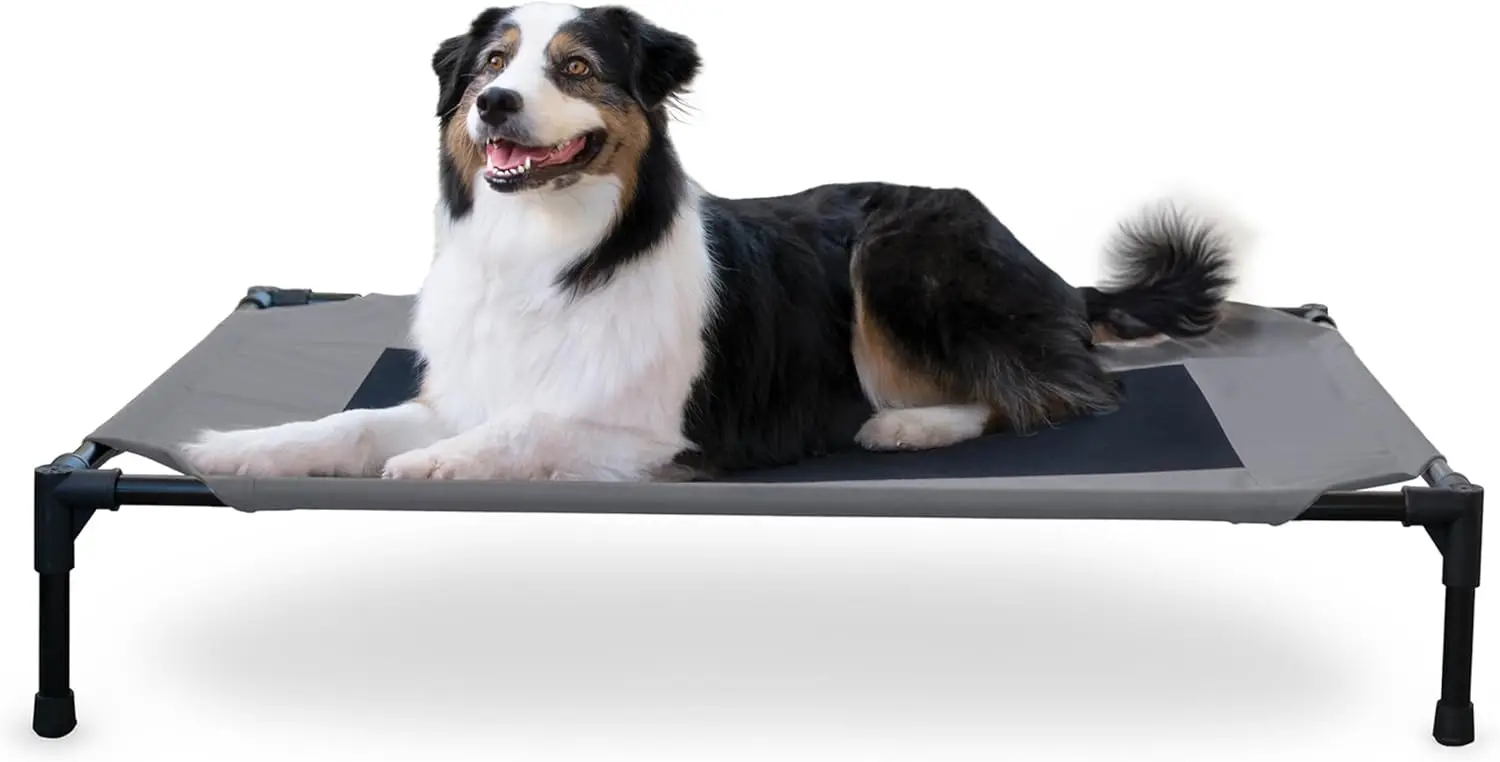 Outdoor Elevated Dog Cot, Breathable Cooling Elevated Cot Hammo Pet Bed For Large Dogs, Washable Mesh Cover, Raised Metal 
Outdoor Elevated Dog Cot, Breathable Cooling Elevated Cot Hammo Pet Bed For Large Dogs, Washable Mesh Cover, Raised Metal