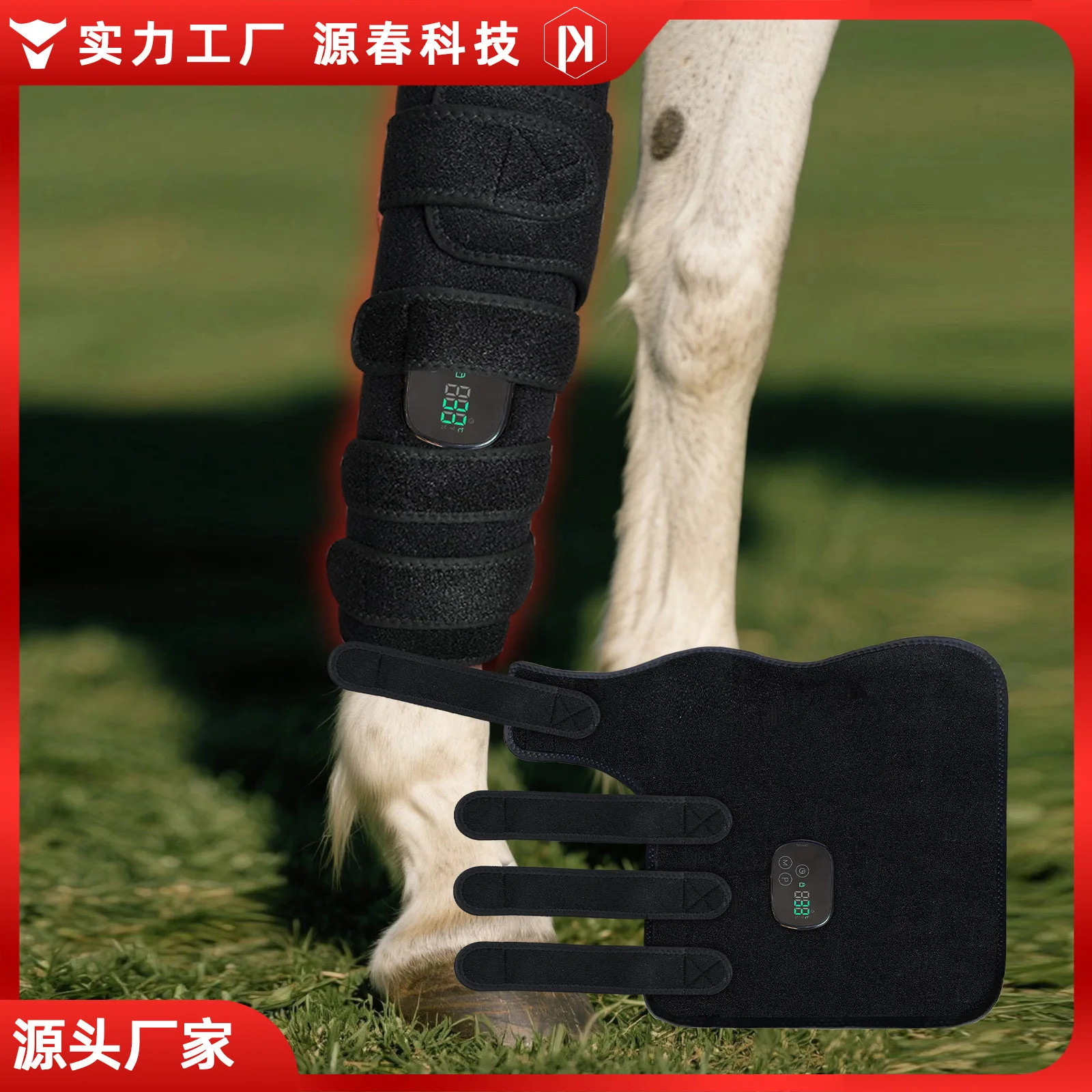 Red light physiotherapy instrument Horse leg muscle strain therapy Leg protection Infrared Wound healing Protects muscles
Red light physiotherapy instrument Horse leg muscle strain therapy Leg protection Infrared Wound healing Protects muscles