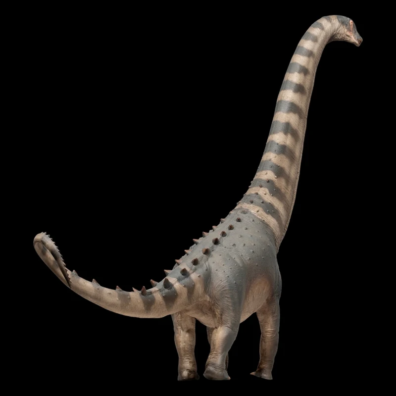 Alamo Dragon Samuel Dinosaur King Growth Companion Boutique Model 79 Handmade Toy Desktop Ornament Festival Gift Collection
Alamo Dragon Samuel Dinosaur King Growth Companion Boutique Model 79 Handmade Toy Desktop Ornament Festival Gift Collection
