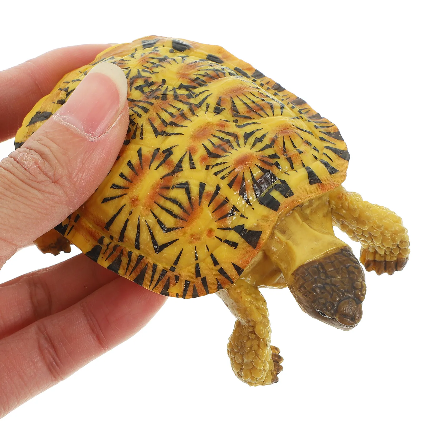 Simulation Turtle Plastic Animal Solid Hard Realistic Appearance Educational Desktop Garden Decoration Recognition Figure
Simulation Turtle Plastic Animal Solid Hard Realistic Appearance Educational Desktop Garden Decoration Recognition Figure