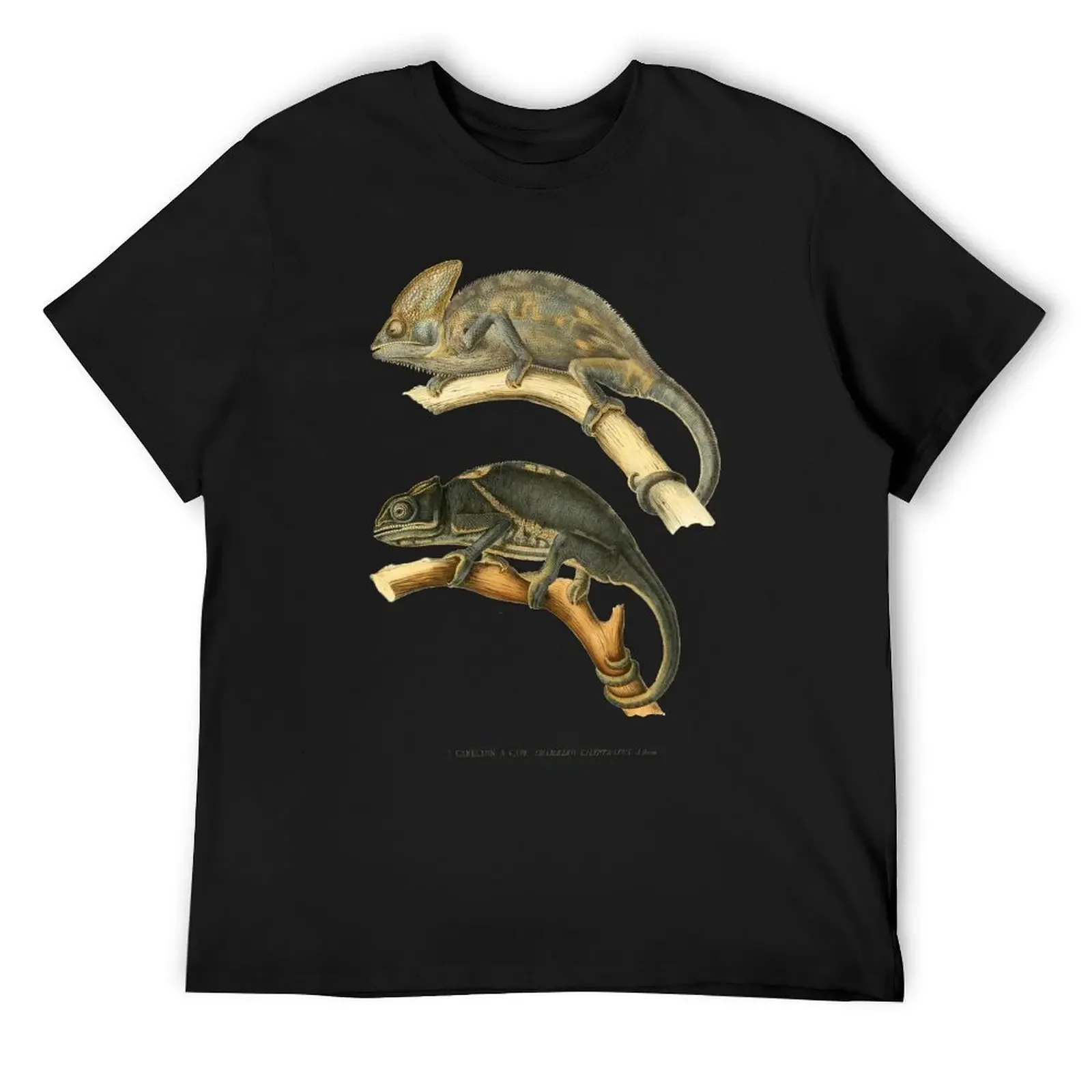 Chameleon Scientific Illustration T-Shirt anime clothes summer shirt Funny t-shirts men t shirts
Chameleon Scientific Illustration T-Shirt anime clothes summer shirt Funny t-shirts men t shirts