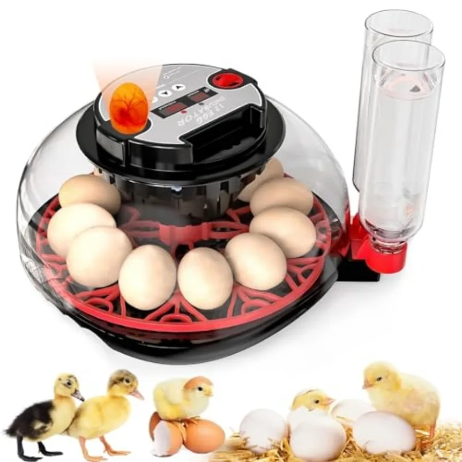 Incubator with Automatic Egg Turning and Humidity Control Incubators for Hatching Eggs Chicken Ducks Goose Pigeon Quail Parrot
Incubator with Automatic Egg Turning and Humidity Control Incubators for Hatching Eggs Chicken Ducks Goose Pigeon Quail Parrot