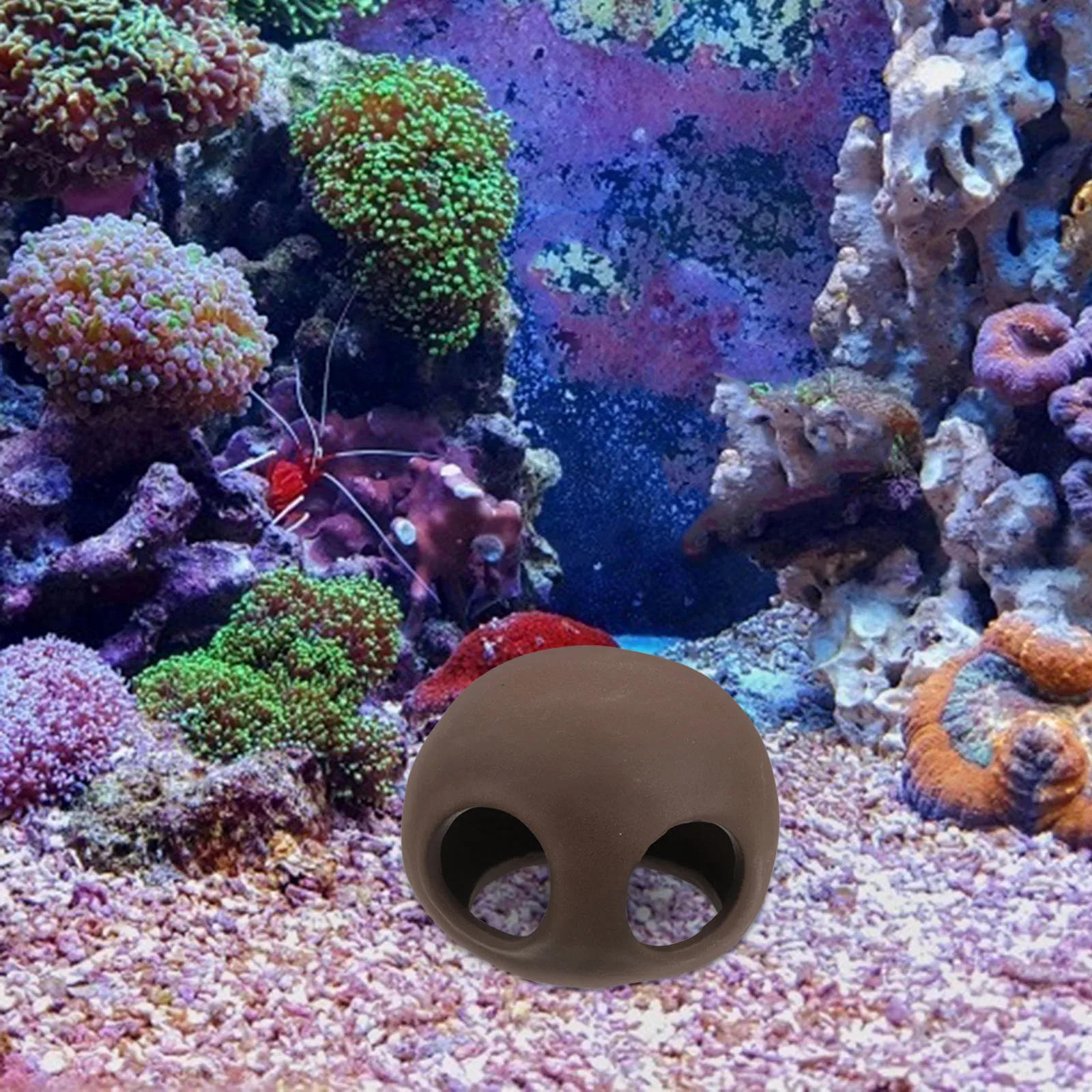 Aquarium Fish Tank Cave Decor Small Fish Shrimp Hideout Betta Shelter Animal Hiding Accessories Aquarium Hideout
Aquarium Fish Tank Cave Decor Small Fish Shrimp Hideout Betta Shelter Animal Hiding Accessories Aquarium Hideout
