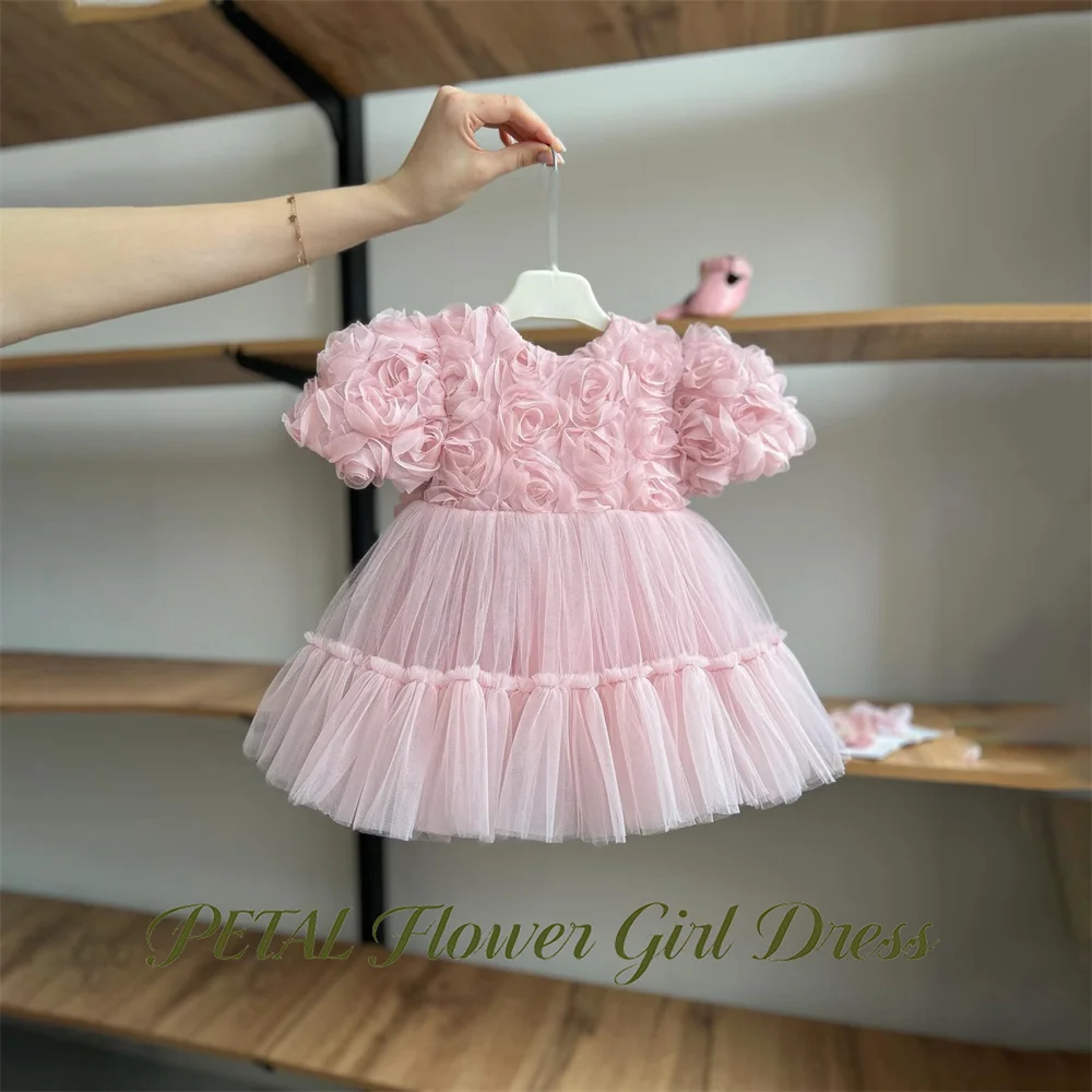 Petal Pink Kids Birthday Party Dress with Flowers Short Sleeve Pageant Dress for Girl with 3D Floral First Communion Gown
Petal Pink Kids Birthday Party Dress with Flowers Short Sleeve Pageant Dress for Girl with 3D Floral First Communion Gown