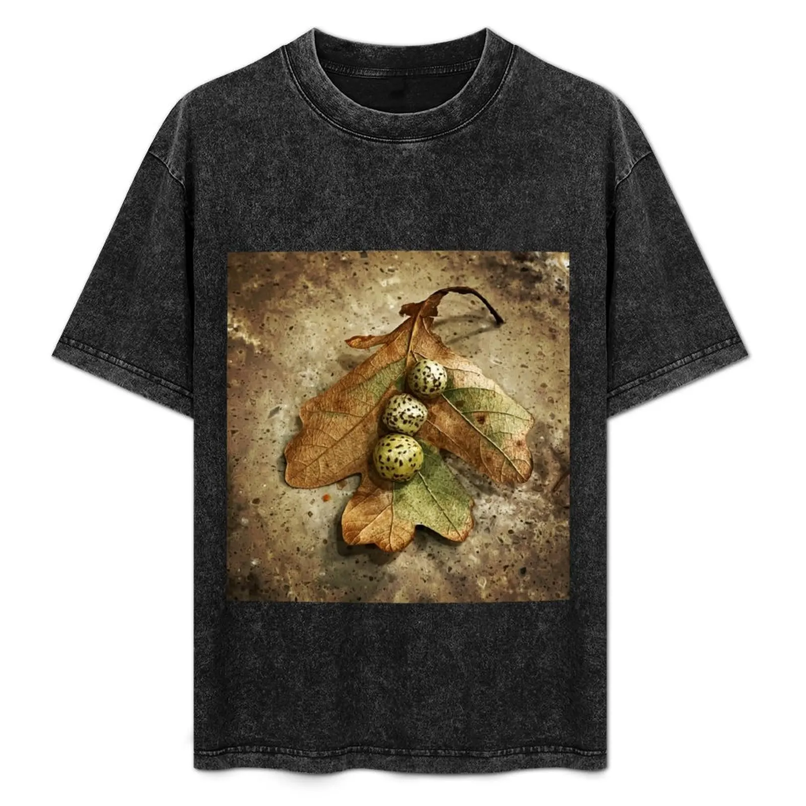 Oak gall T-Shirt Fitness Training Breathable Tee
Oak gall T-Shirt Fitness Training Breathable Tee