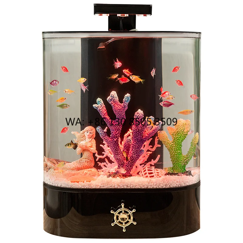 Small Square Jellyfish Ornament Acrylic Living Room Aquarium Display with Plastic Material
Small Square Jellyfish Ornament Acrylic Living Room Aquarium Display with Plastic Material