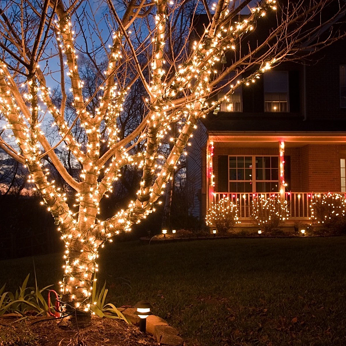LED String Plastic Solar Wire Waterproof Garden Supplies Christmas Yard String Light Decor Yard Outdoor
LED String Plastic Solar Wire Waterproof Garden Supplies Christmas Yard String Light Decor Yard Outdoor