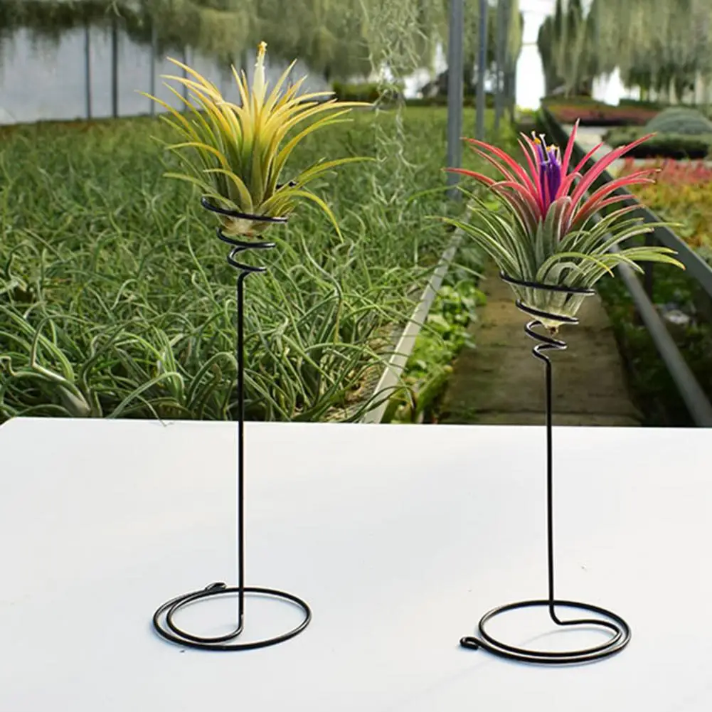 Flower Holder Useful Creative Stable Base Living Room Flower Grass Pineapple Stand Home Decor
Flower Holder Useful Creative Stable Base Living Room Flower Grass Pineapple Stand Home Decor