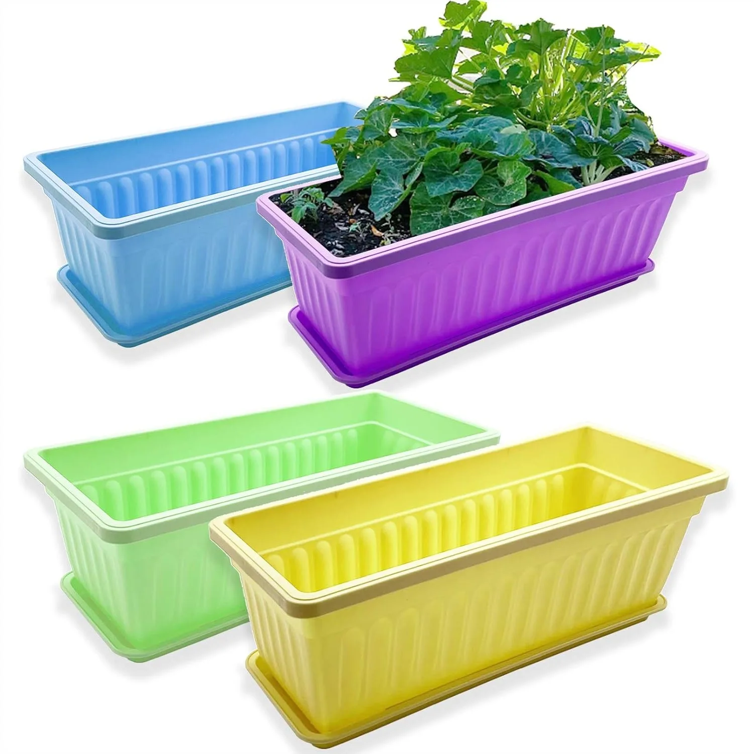 4-Pack 17-Inch Rectangular Window Flower Box Planter with Trays for Balcony, Windowsill, Garden
4-Pack 17-Inch Rectangular Window Flower Box Planter with Trays for Balcony, Windowsill, Garden