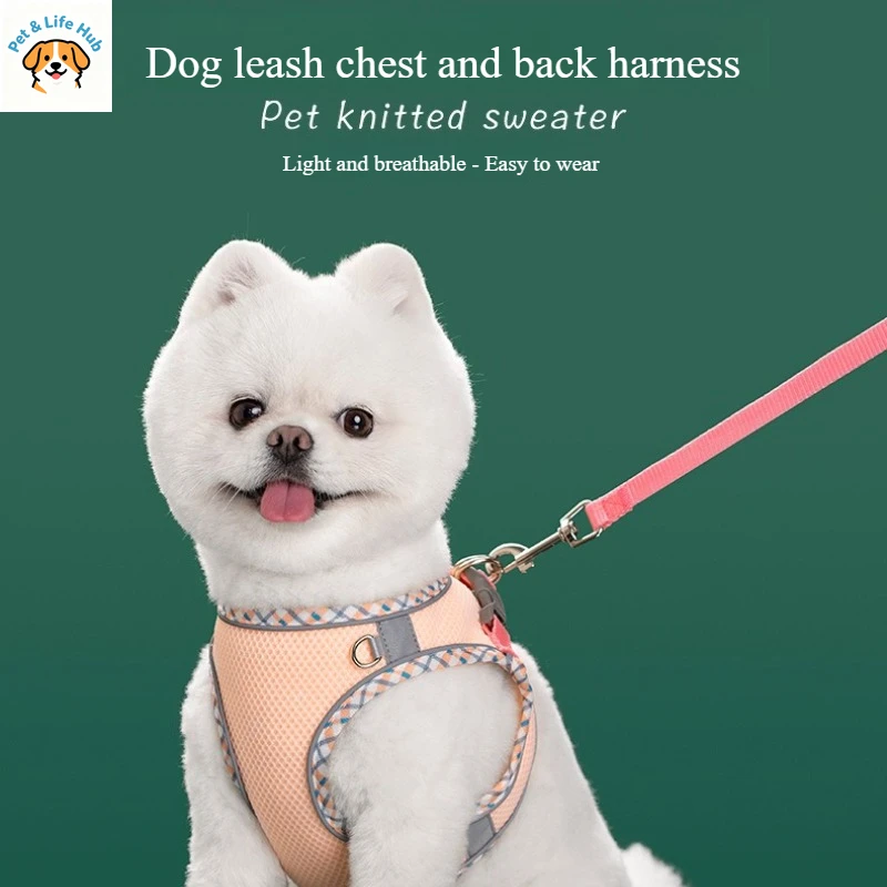 Светоотражающий поводок для кошек/собак на спину и грудь для маленьких собак, поводок-шлейка для выгула собак, аксессуары для собак, товары для животных
Светоотражающий поводок для кошек/собак на спину и грудь для маленьких собак, поводок-шлейка для выгула собак, аксессуары для собак, товары для животных