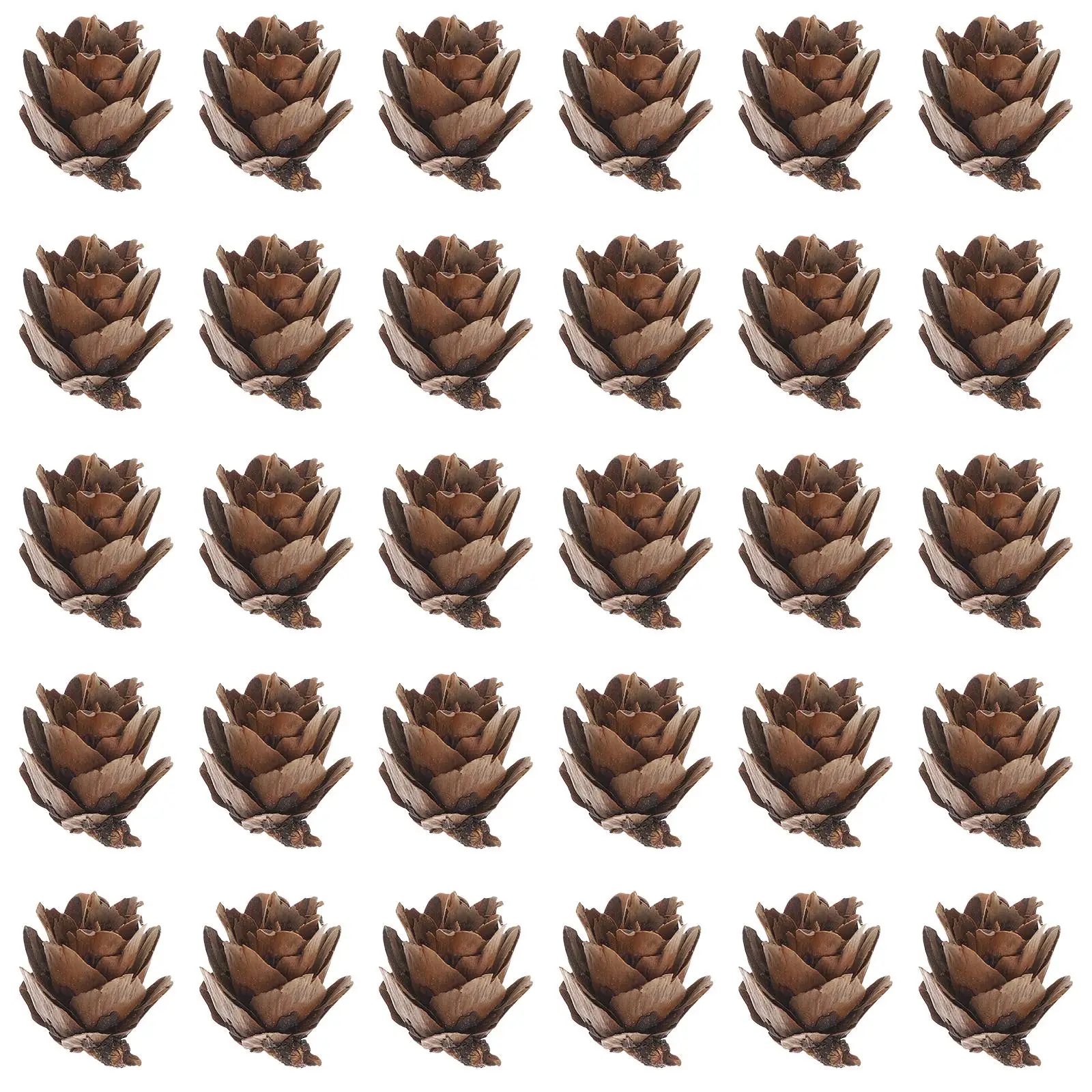 100 Pcs Mini Pine Cone Decorations Artificial Christmas Tree naments Home Office Store Photo Props Songhwa Table Decor
100 Pcs Mini Pine Cone Decorations Artificial Christmas Tree naments Home Office Store Photo Props Songhwa Table Decor