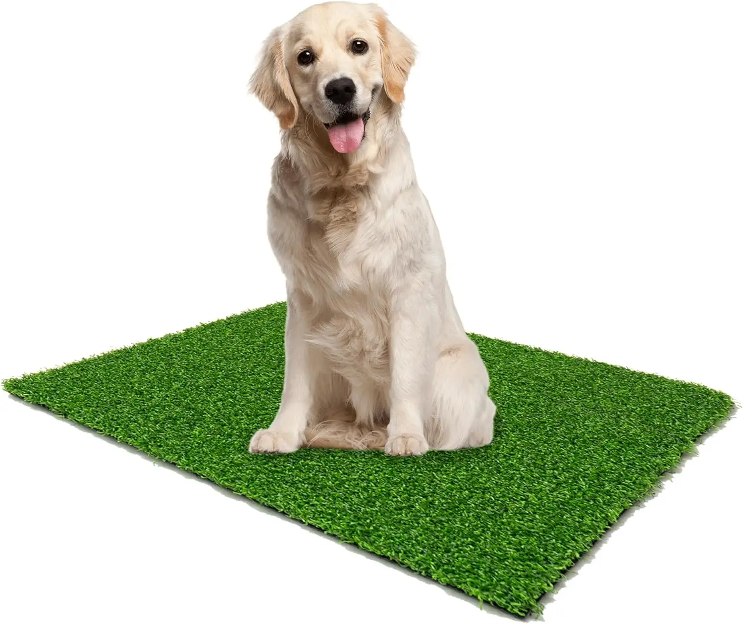 2x6ft Artificial Grass Turf Lawn, 0.6" Pile Height, Dark Green Fake Grass for Indoor Outdoor Garden Patio Balcony, Pet Friendly Astro Turf Rug, Golf Mat
2x6ft Artificial Grass Turf Lawn, 0.6" Pile Height, Dark Green Fake Grass for Indoor Outdoor Garden Patio Balcony, Pet Friendly Astro Turf Rug, Golf Mat