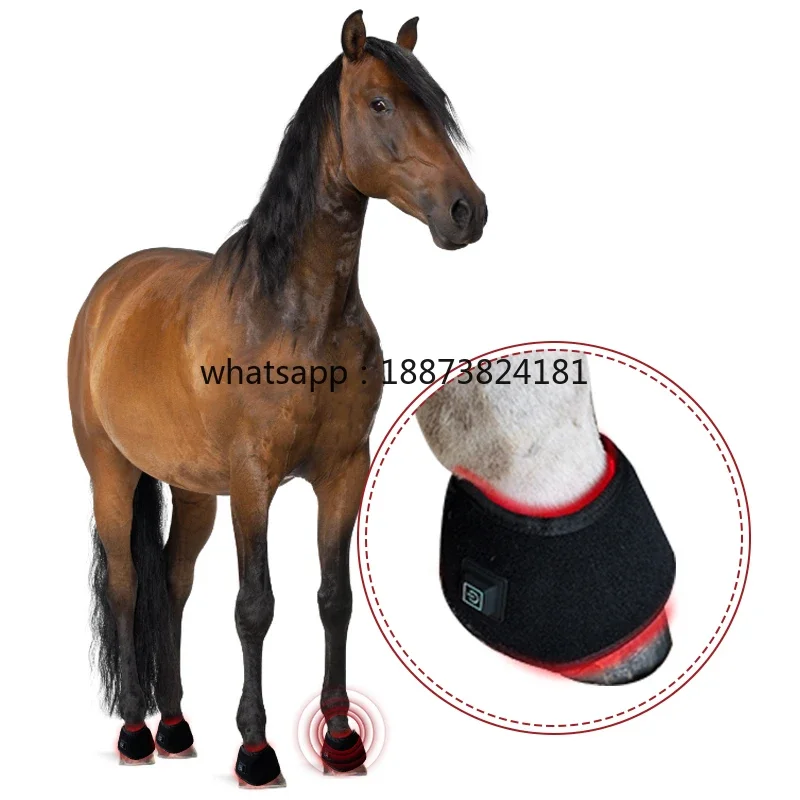 Built-In Battery 660nm 850nm Therapy Horse Hoof Boots Hot Leg Infrared Wraps for Hock Bell Boots fast shipping
Built-In Battery 660nm 850nm Therapy Horse Hoof Boots Hot Leg Infrared Wraps for Hock Bell Boots fast shipping