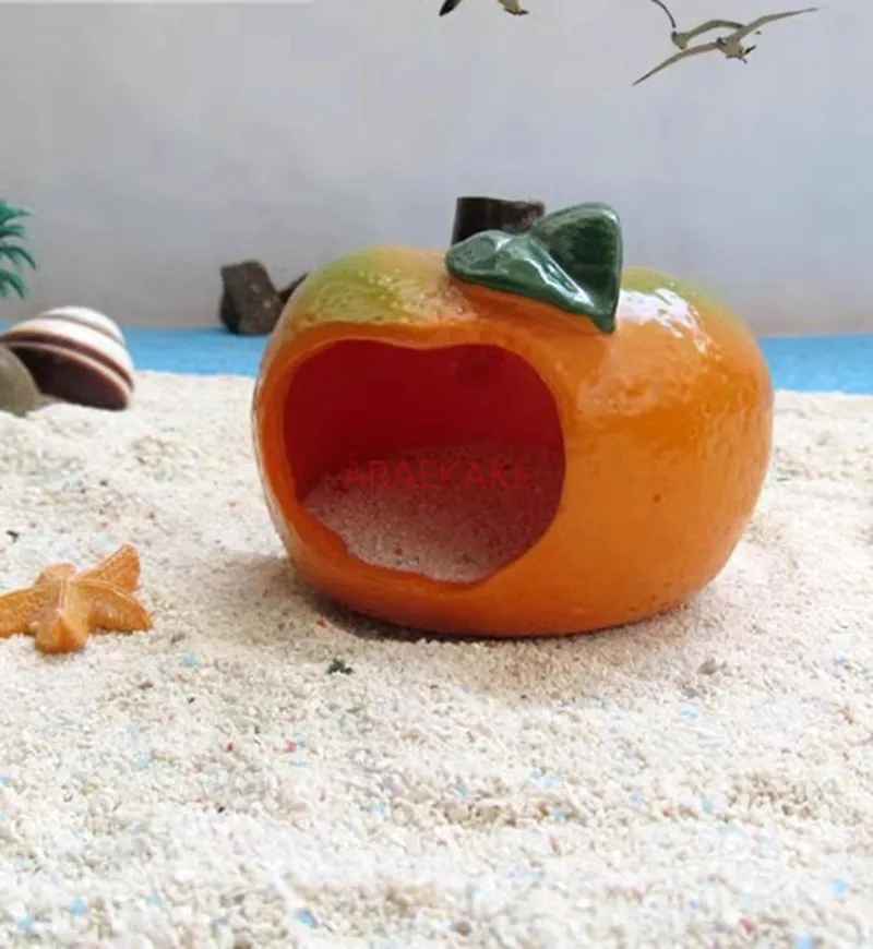 【 hermit crab supplies/shelter 】 Pet breeding box landscaping decorations for small and medium-sized ornamental crab residences
【 hermit crab supplies/shelter 】 Pet breeding box landscaping decorations for small and medium-sized ornamental crab residences