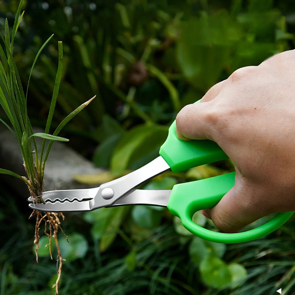 Weeding Scissors Upgraded Longer Thicker Design Manual Weeder Tool for Delicate Garden Hand Weeding Thorn Remover
Weeding Scissors Upgraded Longer Thicker Design Manual Weeder Tool for Delicate Garden Hand Weeding Thorn Remover