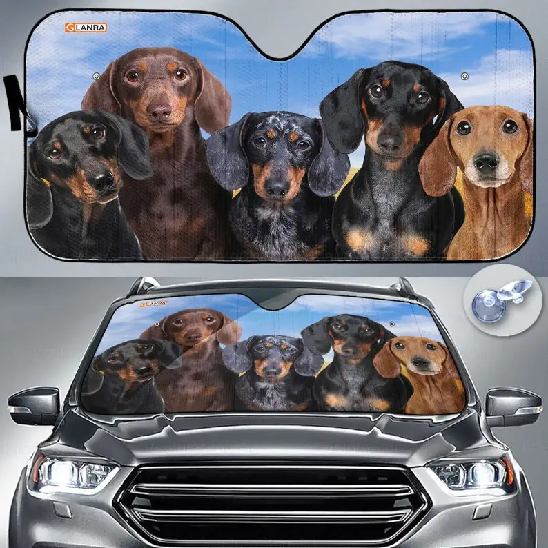 Dachshund Car Sunshade, Dachshund Lover, Dog Windshield Sunshade, Dachshund Car Decor, Gift For Dad, PHT162205F02
Dachshund Car Sunshade, Dachshund Lover, Dog Windshield Sunshade, Dachshund Car Decor, Gift For Dad, PHT162205F02