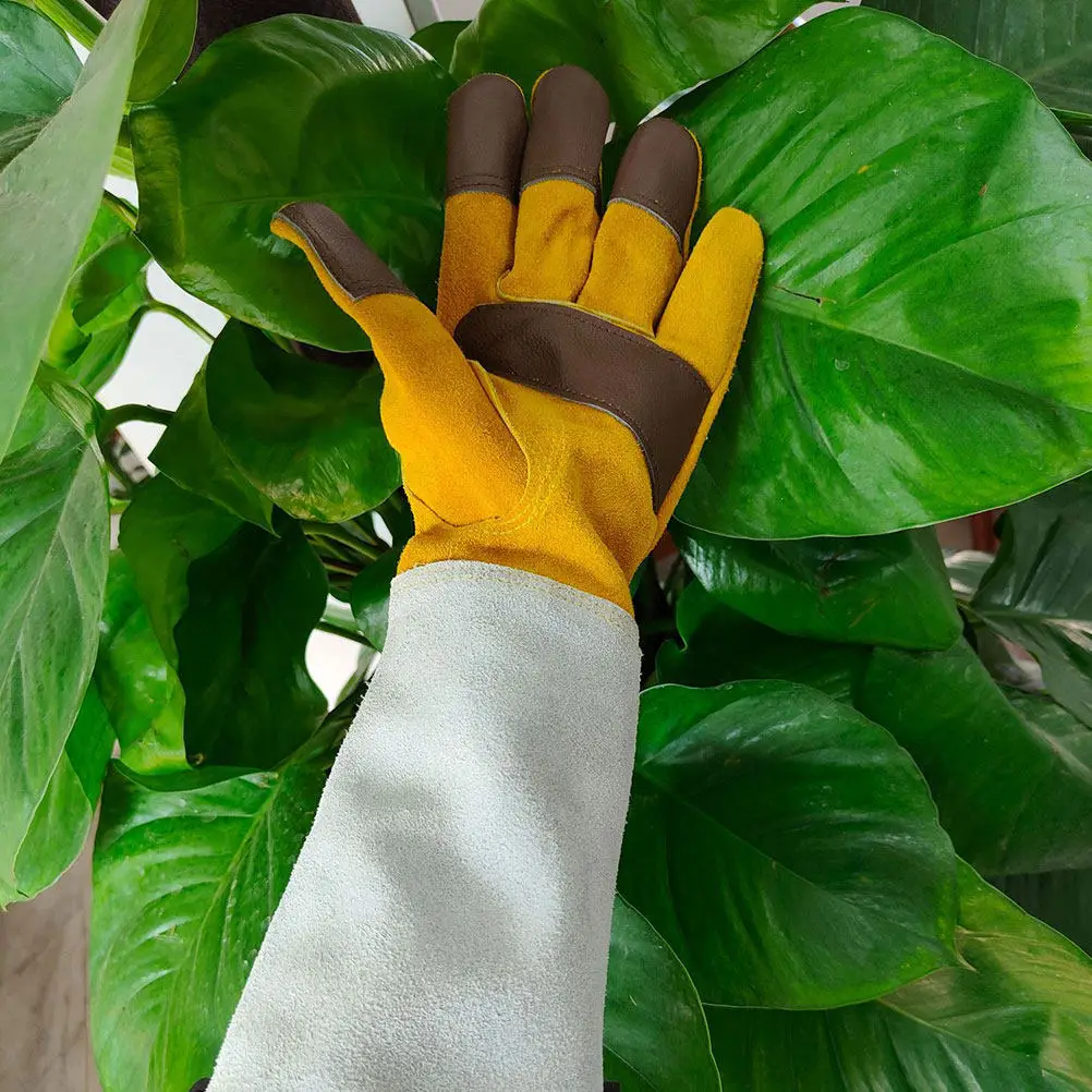 1Pair Garden Work Gloves Long Tube Planting Puncture Proof Thorn Resistant for Pruning Cacti Berry Outdoor
1Pair Garden Work Gloves Long Tube Planting Puncture Proof Thorn Resistant for Pruning Cacti Berry Outdoor