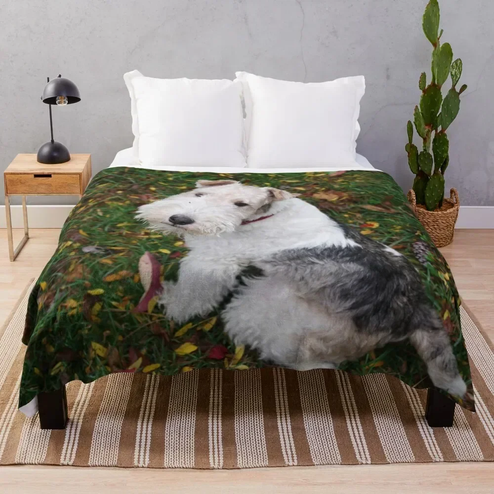 Yes Was There Something You Wanted Throw Blanket Shaggy Decorative Throw Heavy Blankets
Yes Was There Something You Wanted Throw Blanket Shaggy Decorative Throw Heavy Blankets