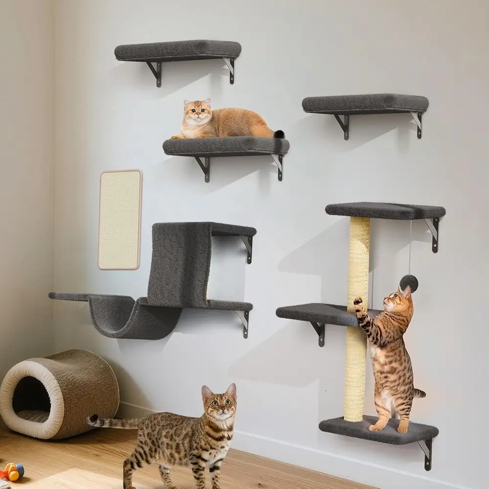 Sturdy Wooden Cat Furniture Set for Large Cats: Climber, House, Bridge, Steps, Scratcher
Sturdy Wooden Cat Furniture Set for Large Cats: Climber, House, Bridge, Steps, Scratcher