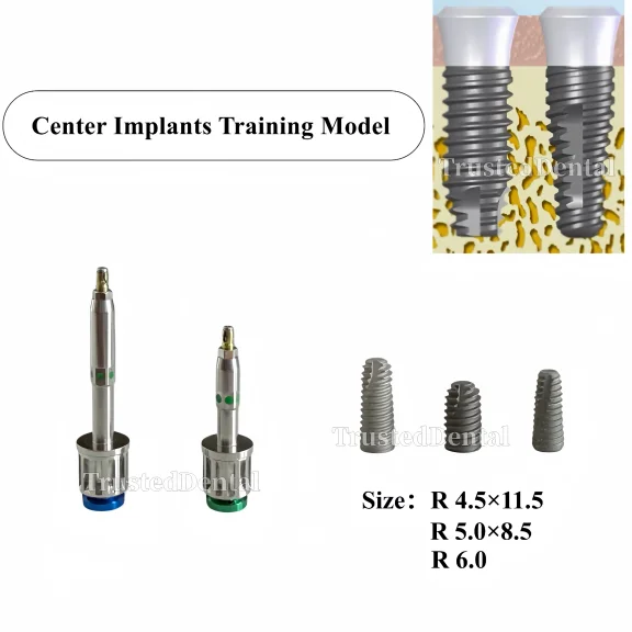 Dental Model Center Implants Fixture Practice Model Implant Training Teaching Model Manual Driver for Oss System
Dental Model Center Implants Fixture Practice Model Implant Training Teaching Model Manual Driver for Oss System