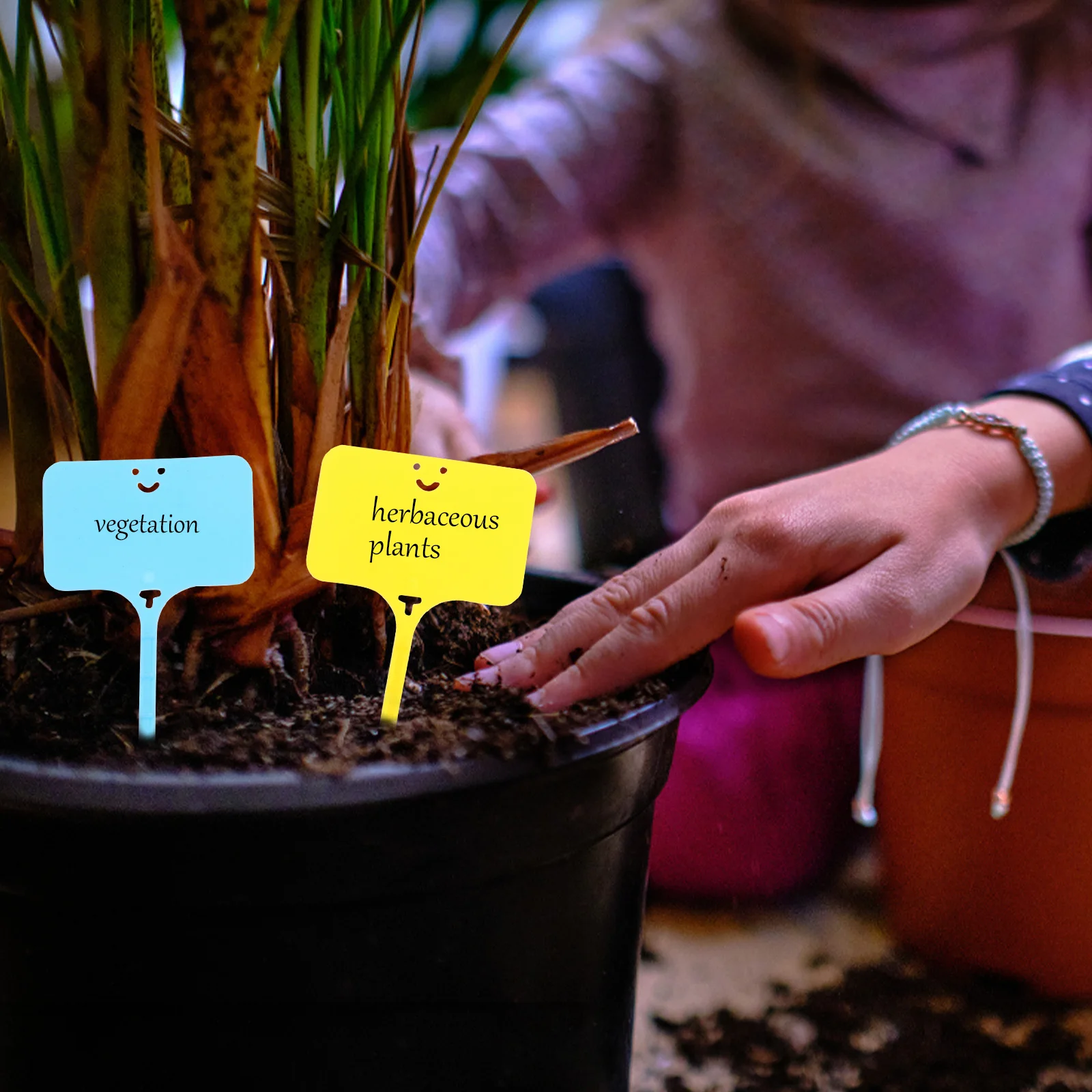 100Pcs Plant Marker Stakes T-Type Durable Plastic Tags Outdoor Garden Nursery Labels Colorcoded Plant Markers Waterproof 
100Pcs Plant Marker Stakes T-Type Durable Plastic Tags Outdoor Garden Nursery Labels Colorcoded Plant Markers Waterproof