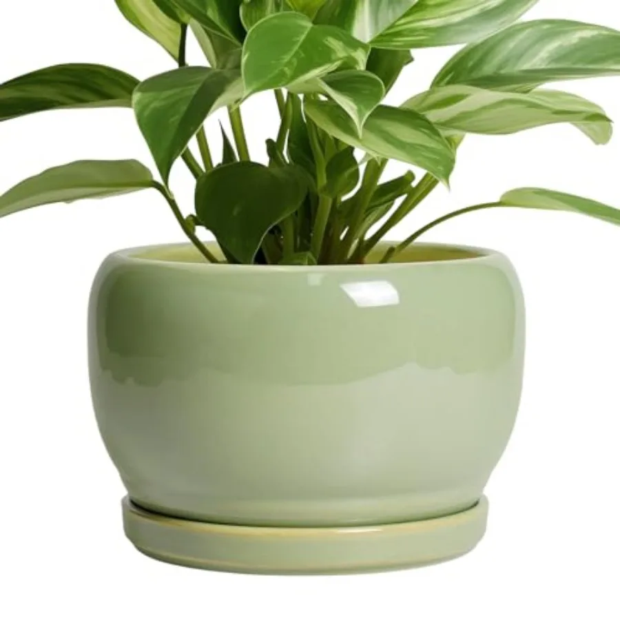 8 ch Plant Pot - Ceramic Planters with Draage Hole and Tray, Round Flower Pot for door Plants, Modern Decorative Planters Outdo
8 ch Plant Pot - Ceramic Planters with Draage Hole and Tray, Round Flower Pot for door Plants, Modern Decorative Planters Outdo
