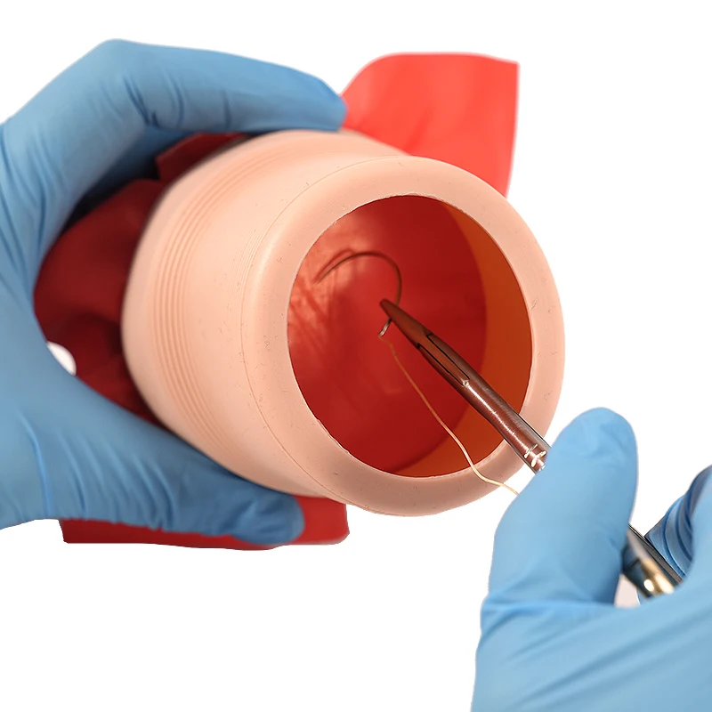 Intraoral Suture Knotting Practice Set Dentist Student Oral Gum Mucosal Suturing Knotting Teaching Training Tools
Intraoral Suture Knotting Practice Set Dentist Student Oral Gum Mucosal Suturing Knotting Teaching Training Tools