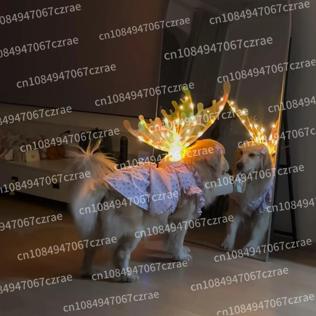 Dog Wings Birthday Wedding Dress Up with Music Dynamic Wings Pet Accessories
Dog Wings Birthday Wedding Dress Up with Music Dynamic Wings Pet Accessories