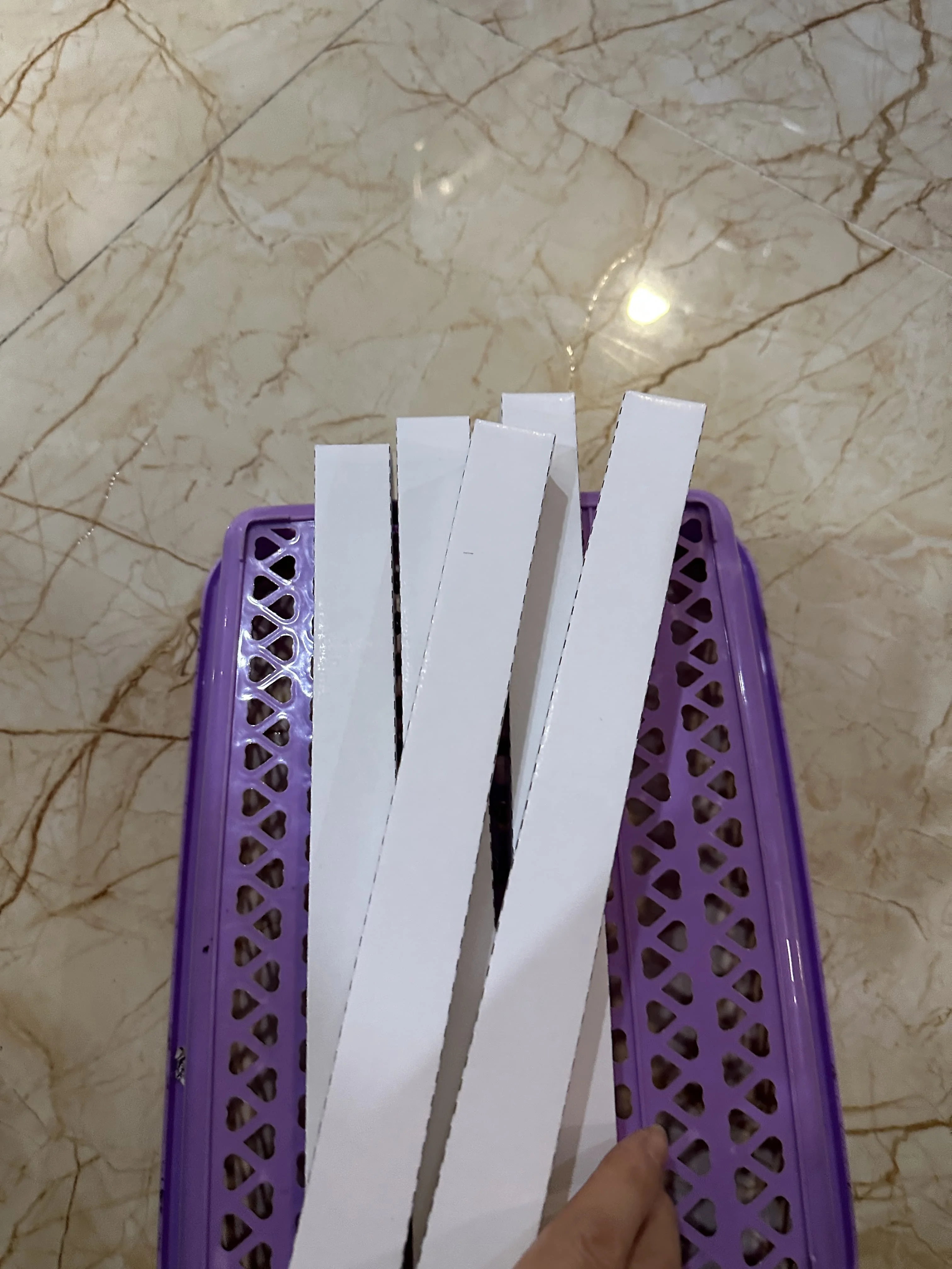 5 чистящих валиков для ПЦР для Xerox Color 550 560 700 C75 J75 C60 6680 7780 5065 6550 6685 7785 6500 7500 Губчатый валик
5 чистящих валиков для ПЦР для Xerox Color 550 560 700 C75 J75 C60 6680 7780 5065 6550 6685 7785 6500 7500 Губчатый валик