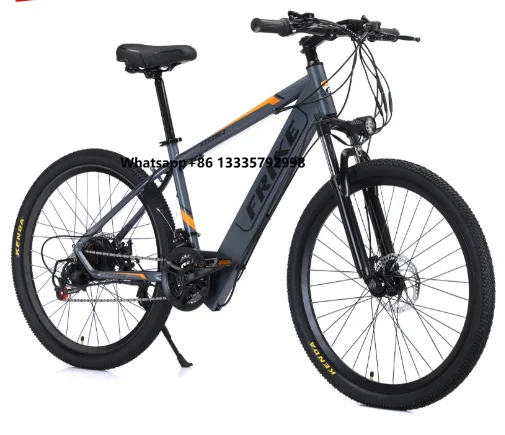 Adult High-speed Electric Bike High-carbon Steel Frame Lithium Battery Bicycles Electric Long-range Electric Vehicles
Adult High-speed Electric Bike High-carbon Steel Frame Lithium Battery Bicycles Electric Long-range Electric Vehicles