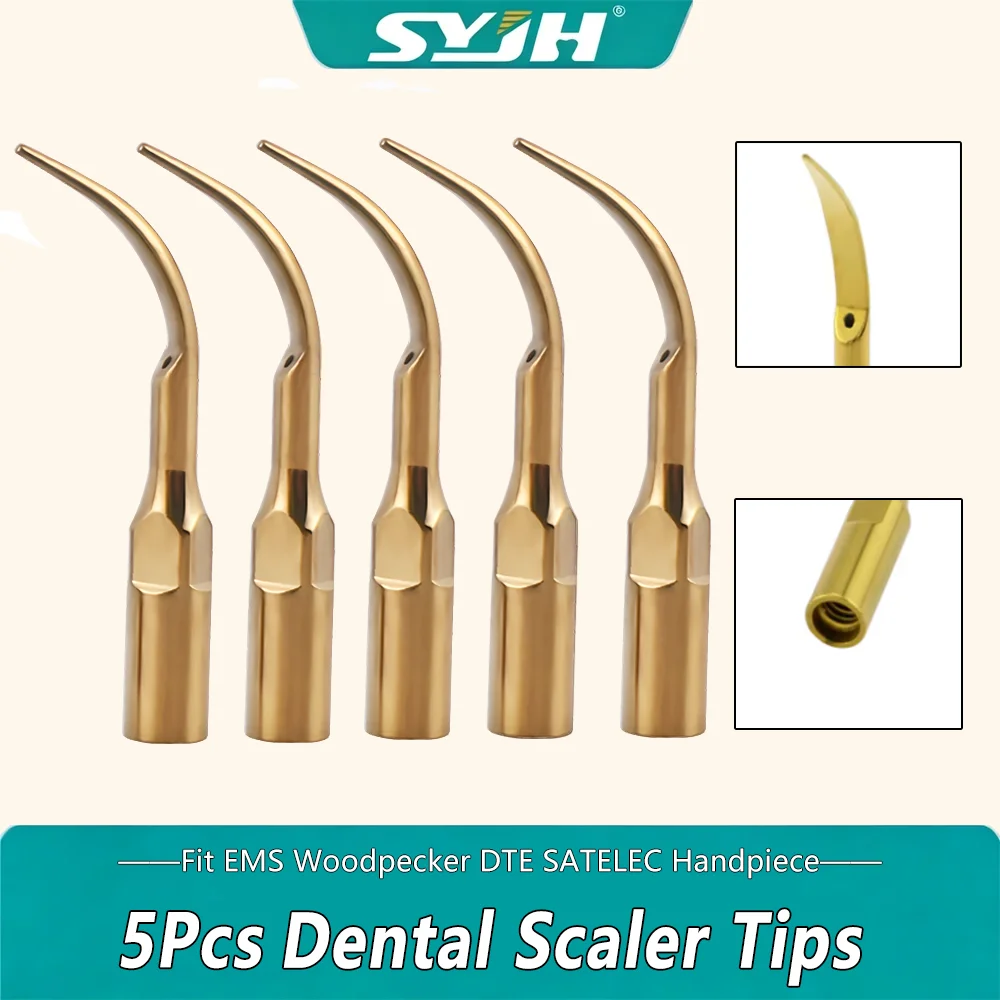 1/5PCS Dental Scaler Tips Fit EMS Woodpecker DTE SATELEC Handpiece Scaling & Periodontics Endo Perio Tips Medical Accessories
1/5PCS Dental Scaler Tips Fit EMS Woodpecker DTE SATELEC Handpiece Scaling & Periodontics Endo Perio Tips Medical Accessories