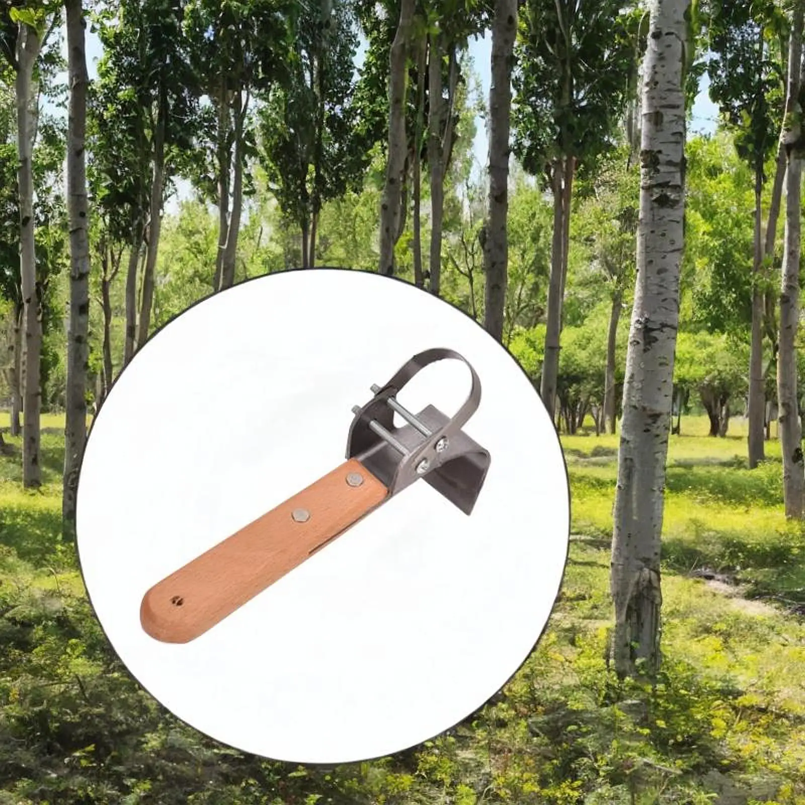 Bark Spud Debarking Tool Sharp Handheld Prunning Tools Plant Girdling Cutting Tool for Garden Orchard Woodworking Fruit Tree
Bark Spud Debarking Tool Sharp Handheld Prunning Tools Plant Girdling Cutting Tool for Garden Orchard Woodworking Fruit Tree