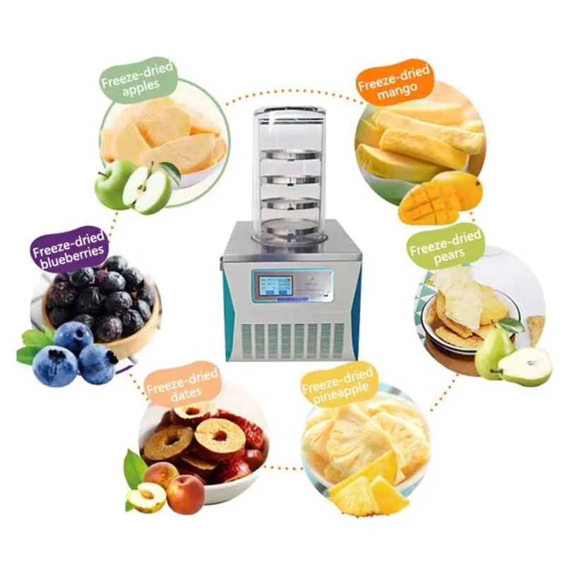 Small Laboratory Freeze Dryer Freeze Dryer With Multi Manifold Cover And Auxiliary Heating Freeze Dryer
Small Laboratory Freeze Dryer Freeze Dryer With Multi Manifold Cover And Auxiliary Heating Freeze Dryer